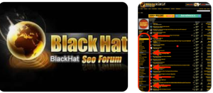 Buy BlackHatWorld Accounts - New/Old 100+ Post