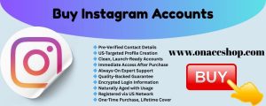 Buy Instagram Accounts - Professional Profile