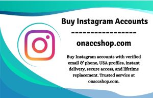 Buy Instagram Accounts - Professional Profile