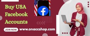 Buy USA FaceBook Accounts - With High Friend
